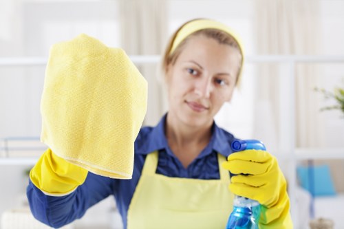 Professional move in cleaning in a kitchen before unpacking