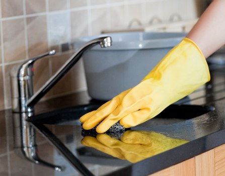 Professional rug cleaning process in a home setting
