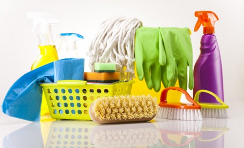 Professional sofa cleaning service for long-lasting furniture
