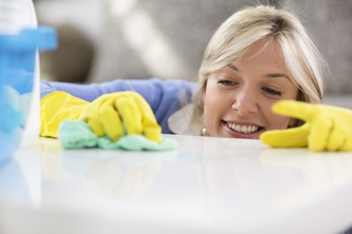 Professional move out cleaning in a bright living room