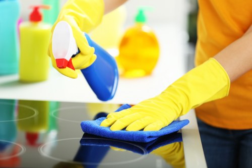 Daily house cleaning supplies arranged neatly