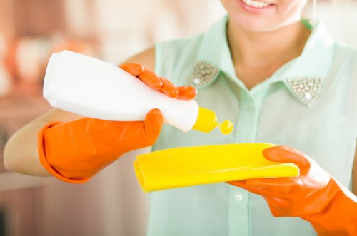 Kitchen and bathroom domestic cleaning tasks