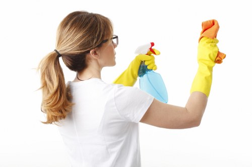 Professional oven cleaning service for a spotless appliance