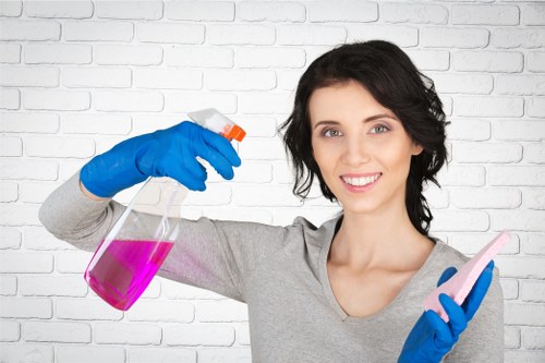 Checklist and cleaning supplies for end of tenancy cleaning