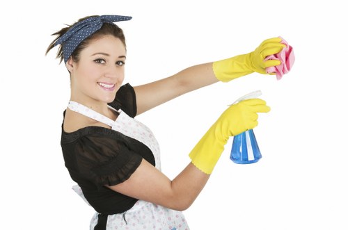 Natural oven cleaning with baking soda and vinegar