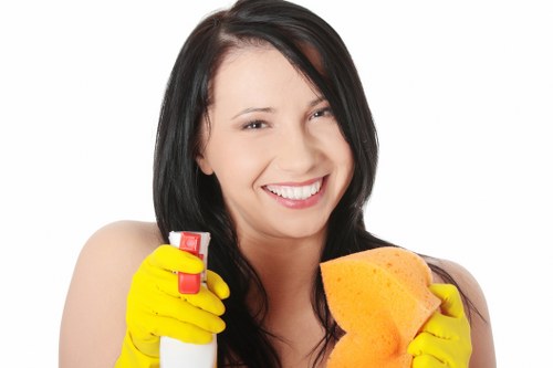 Cleaning supplies arranged for move out cleaning tasks